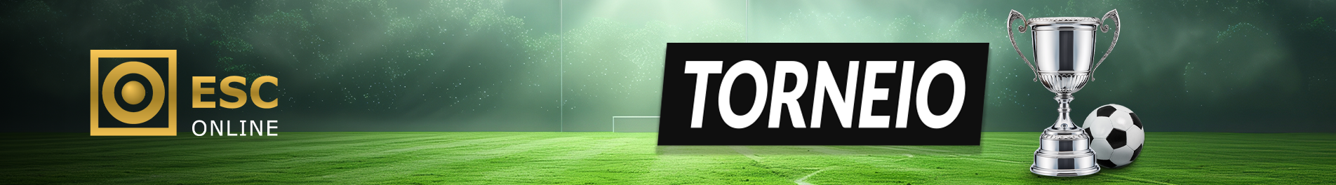 Banner ESC Online 1 de 5